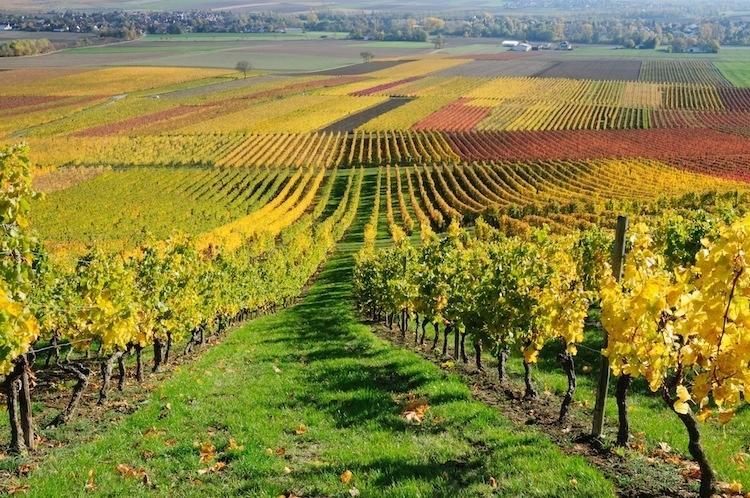 Bed and Breakfast Cascina Manu Rosignano Monferrato Экстерьер фото