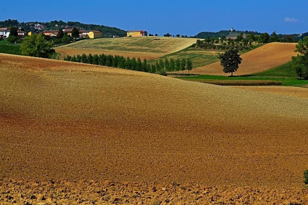 Bed and Breakfast Cascina Manu Rosignano Monferrato Экстерьер фото