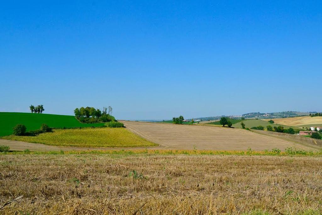 Bed and Breakfast Cascina Manu Rosignano Monferrato Экстерьер фото