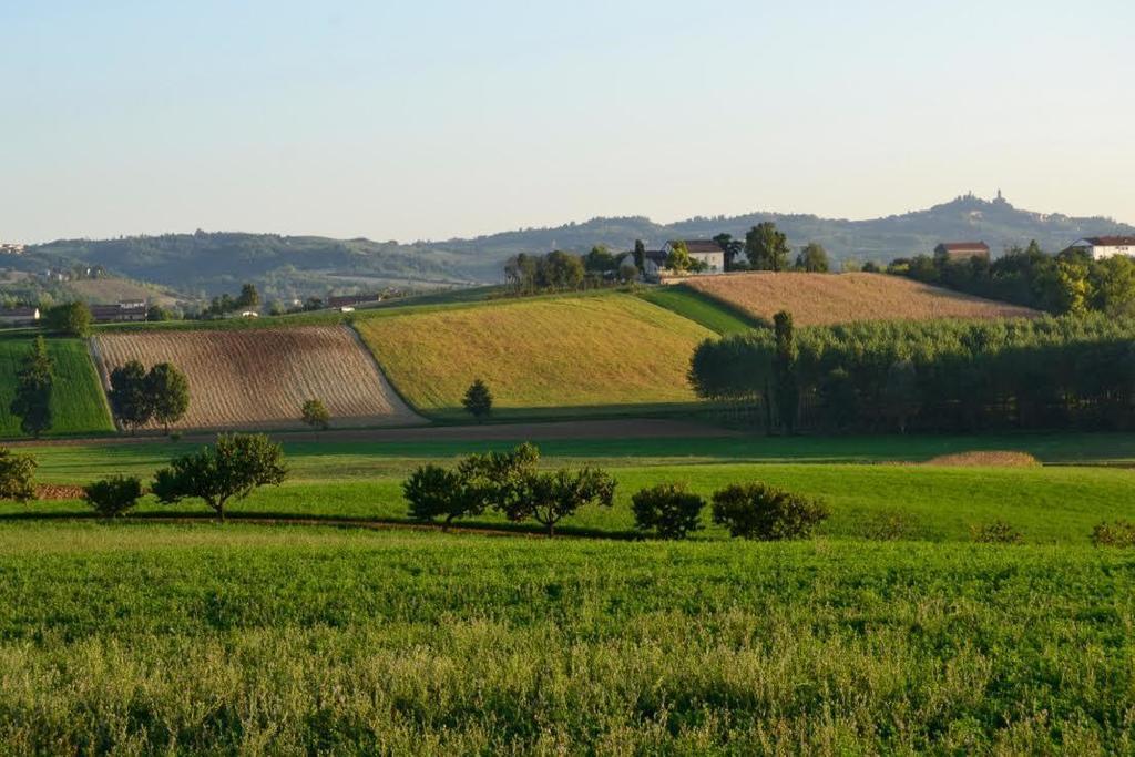 Bed and Breakfast Cascina Manu Rosignano Monferrato Экстерьер фото