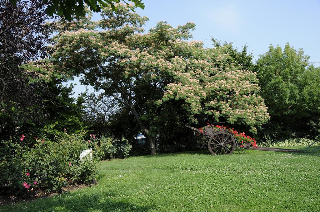 Bed and Breakfast Cascina Manu Rosignano Monferrato Экстерьер фото