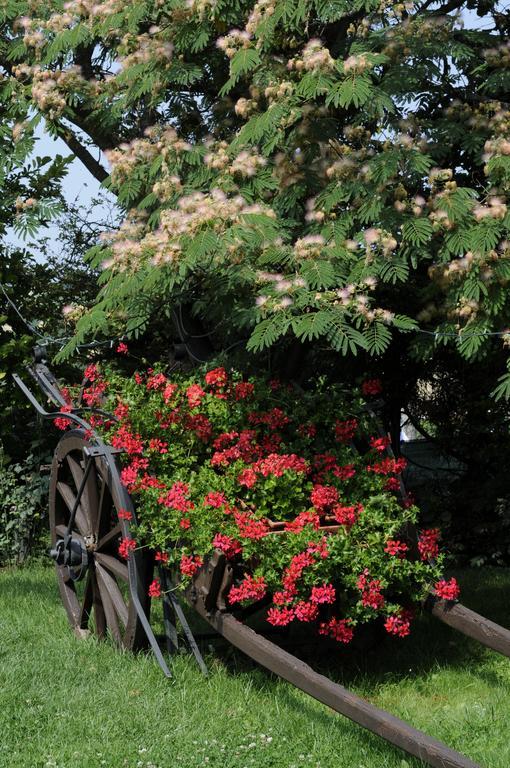 Bed and Breakfast Cascina Manu Rosignano Monferrato Экстерьер фото